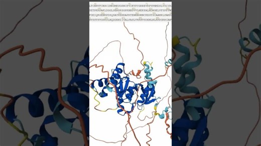 I BUILT A BIOINFORMATICS PYTHON PROGRAM | BRCA1 GENE | BIOINFORMATICS FOR… | Amr Hammouda