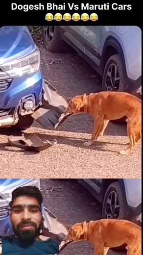 😂nice car safety😂 #car #safety #funnymoment #funny #aestheic #popular #shortvideo #funniestvideo