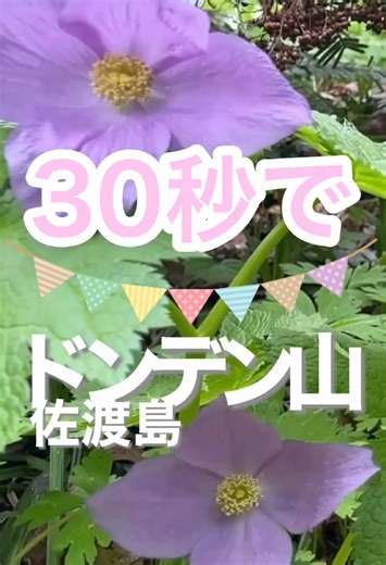 初めての佐渡島登山体験