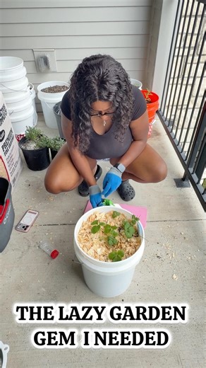 How I Sprinkle Diatomaceous Earth the EASY Way 🌱