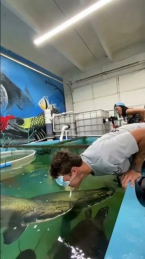 Arapaima Fish Facts That Will Blow Your Mind