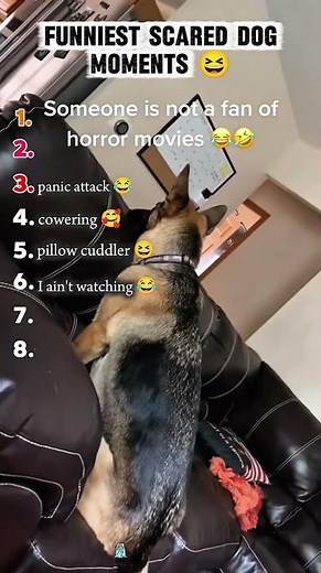 Funniest reactions of dogs getting scared 😆 #shorts #dogs #foryou #funny #pets