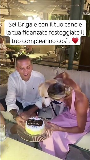 #briga the #girlfriend and her #labrador celebrate their #birthday ♥️ #surprise #couple #relation...
