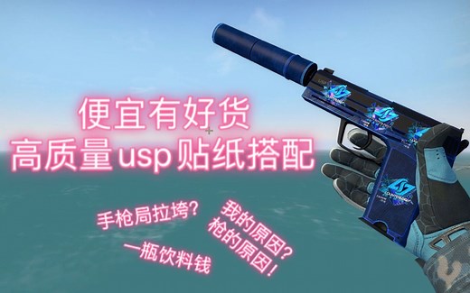 CSGO高质量USP贴纸搭配｜便宜有好货｜总有你喜欢的一款！