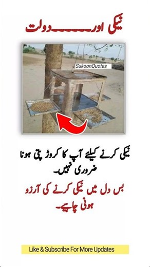 " 4 Most Powerful Quotes that will inspire you & Change your Life #SukoonQuotes #thoughtlife