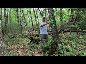 (part 1) Laying out a new maple syrup woods with Leader Evaporator tubing