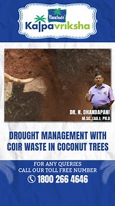 6.7K views · 192 reactions | Coir waste, which includes coconut husks...