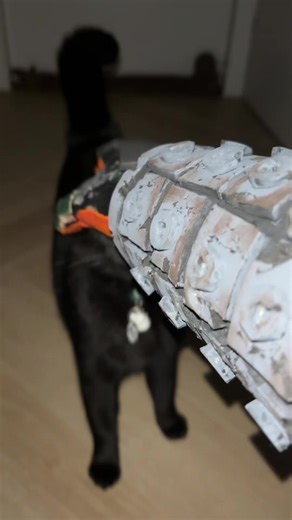 Charming Bakugo Cat Cosplay in Action