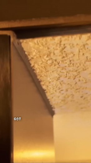 How To Get Straight Paint Lines Between Tile & Ceiling.-000 | Haus Plans