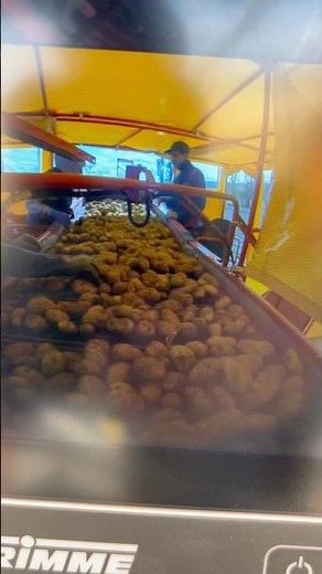 Grimme Airsep 290 #grimme