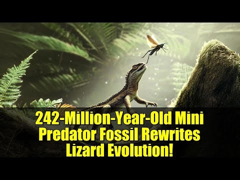 242-Million-Year-Old Mini Predator Fossil Rewrites Lizard Evolution!