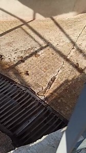 Senza condivisioni non avranno mai la possibilità di trovar famiglia.😔 22/1/2010 sono venuta a trovarli nuovamente. Eccoli Pippo, Giuseppe e la mamma Danka. Mamma Danka ha partorito i suoi bimbi qui in canile nel Dicembre del 2017😣. Questa famiglia dolcissima aspetta che qualcuno apra il box 30 per regalargli la libertà. 😣. Tanti post per loro ma nessuno ha mai chiamato. Vi prego chiamate per loro. 327/1499124 . Oppure scrivetemi un SMS. Vi supplico aprite il vostro cuore. Adottate adottate a