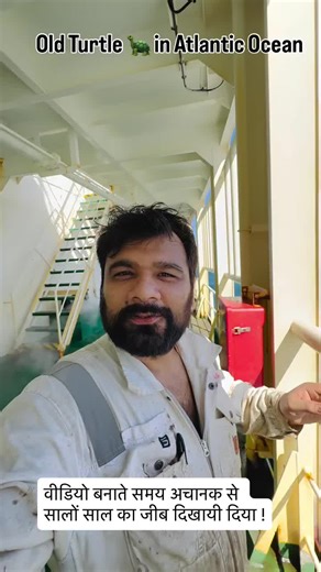 Giant Old Turtle Sighted in Atlantic Ocean