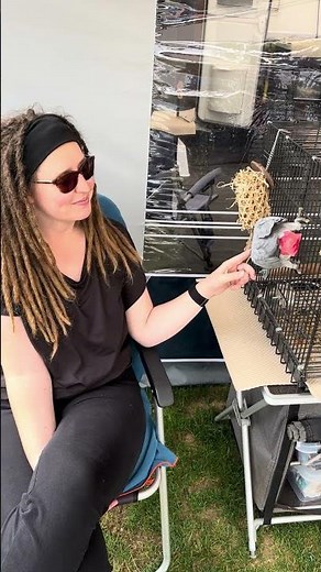 Cuddling on the side of the cage, that's a first! #africangrey #africangreyparrot
