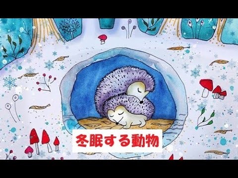 冬眠する動物