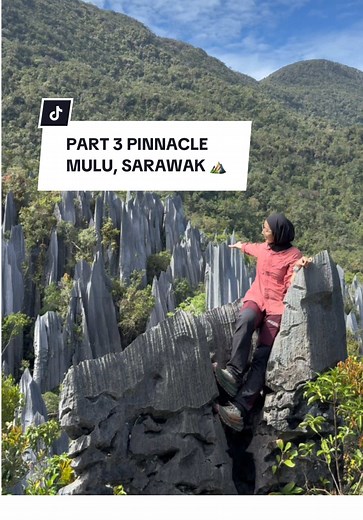 Hiking Adventure to Pinnacle, Mulu Sarawak