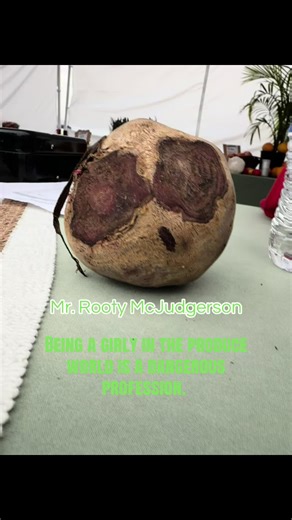 BACKSTORY: Mr. Rooty McJudgerson He wasn’t supposed to be harvested today. He’d grown comfortable underground, watching seasons change, judging worms quietly. Some say he developed a face after years of listening to other roots complain about the weather. Others say he was born like this old soul, side-part, zero tolerance for nonsense. He didn’t ask to be sold. He simply knew someone would recognize him. And they did. Now he’s off living his best life in someone else’s kitchen, probably sitting