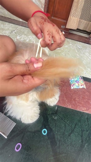 Nawabi Pilla Ki Grooming Routine ❤️