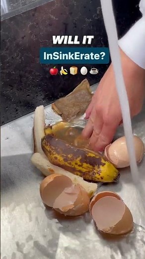 Testing the InSinkErator | Will it InSinkErate an entire plate of food waste?