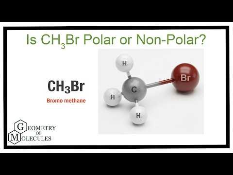 CH₃Br Polar or Nonpolar? Easy Explanation | Bromo Methane Polarity