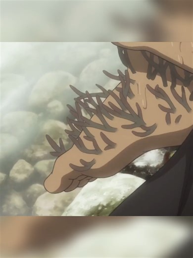 Căn Bệnh Rong Biển Kỳ Lạ Lan Ra Làng