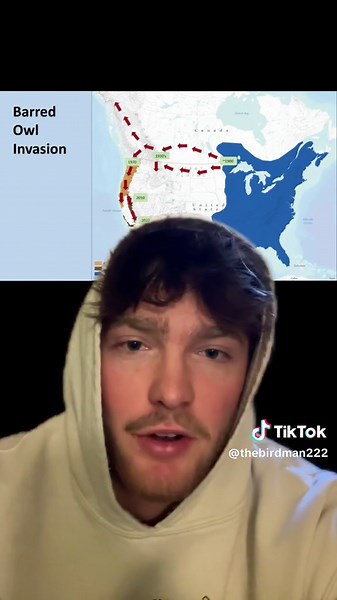 Should the Government Kill Barred Owls to Save Spotted Owls?