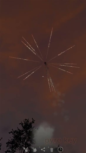 4inch cycas palme rot #fireworks