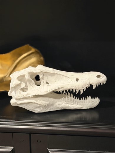 Baryonyx Skull – 12” Realistic Dinosaur Skull Replica | Fossil Decor | Jurassic Display Piece | 3D Printed - Etsy