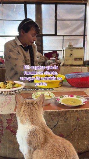 Elí espera a que la familia se siente para comer (gato paciente)