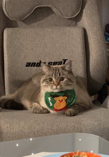 Семен вітає з Різдвом та Новим Роком