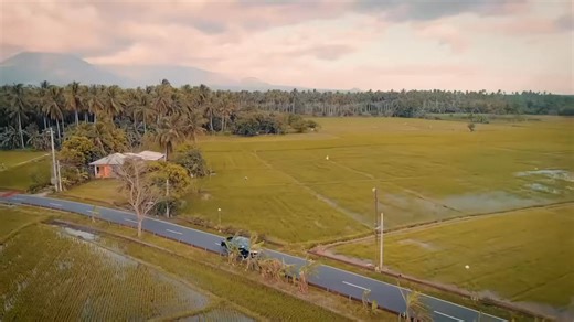 7.1K views · 159 reactions | Another throwback to when GMA7 featured us a year ago! 勞 Watch the compiled episodes to learn about how MR Guppy started, some guppy keeping and breeding techniques, and the best live food we feed them.  Huge thanks to Agripreneur and GMA7 for the feature!  Catch the episodes on their Facebook page: https://www.facebook.com/agripreneurph.tv | MR Guppy | Facebook