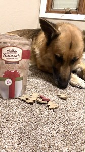 3.7K views · 114 reactions | Mouth watering flavor in every bite. Order your Santa Paws Cookies now before supplies run out. https://amzn.to/2UUDMlU | Country Vet Pet Food | Facebook