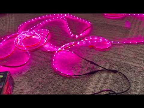 Festive Lighting Solution Govee lights Review