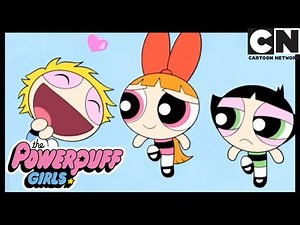 IRMÃS FAVORITAS PARA SEMPRE | As Meninas Superpoderosas | Cartoon Network 🇧🇷