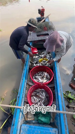 Cambodia life at the province #cambodia #shortvideo #fishing #newtrend