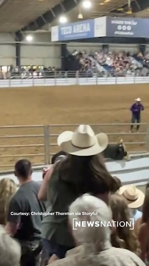 Bull Escapes: Video shows a bull break out of its holding pen and run straight toward the crowd at the Florida State Fair. #bull #escapedbull #FloridaStateFair | NewsNation