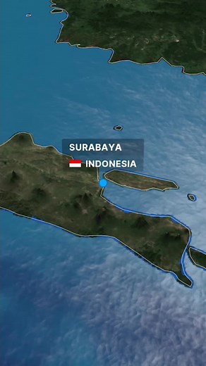 Mapping a Year: A Visual Journey Through Multidaem