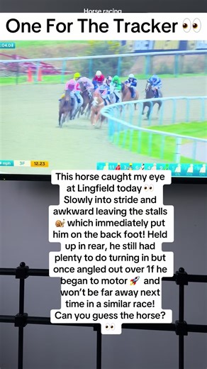 Eye-Catching Performance at Lingfield Horse Racing