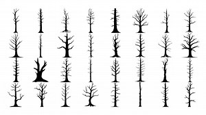Dead Tree SVG Bundle – 174 Vector Designs for Cricut, Silhouette (JPG, PNG) - Etsy Canada