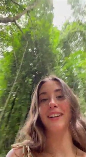 Exploring the Amazon Rainforest!