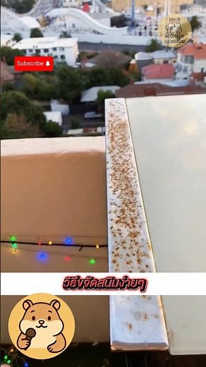 ฟอยล์อลูมิเนียมขจัดสนิมได้จริงหรือ? เคล็ดลับเคมีเปลี่ยนชีวิตที่ช่างไม่เคยบอก!