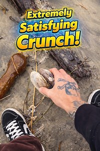 Extremely Satisfying Crunch! 😱 #nature #satisfying #asmr | Jacob Colvin