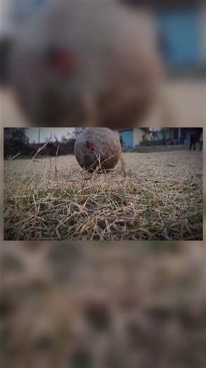 Epic Slow Motion Football Run ⚽ | Local Ground Magic #Shorts