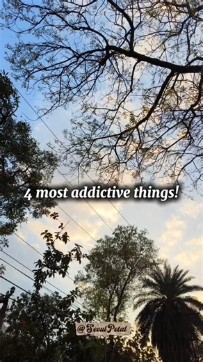 4 most additive things ✨🤌#shorts