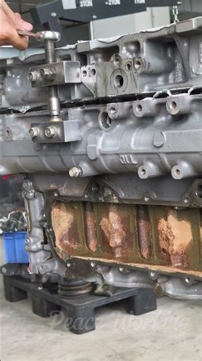 Watch This SCREW Drive Conquer Strong Sealant Adhesion
