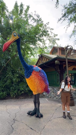 Cast Members lead guests in the Kevin song at Disney’s Animal Kingdom. Kevin dances along! #pixar #animalkingdom #pixarup #disneysanimalkingdom #wdw #waltdisneyworld #disneyworld #pixarcharacters #disneycharcters | Mousesteps