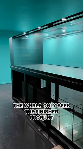 Our display room is finally open, and we’re excited for you to see our new build up close. It’s been a journey, but we’re almost there. To everyone who dedicated their time to help bring this project to life, we can’t thank you enough. You know who you are. We truly appreciate you. | Fish World Aquarium