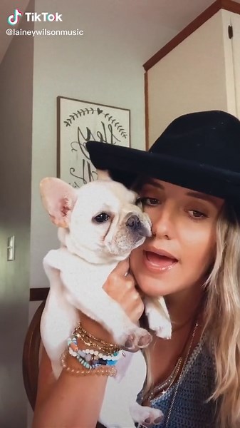 Lainey Wilson's Adorable French Bulldog Named Hippie