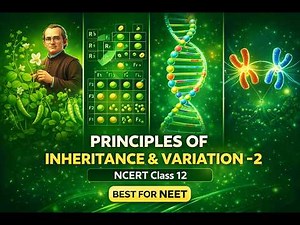 Principles of Inheritance and Variation 2 | NCERT Class 12 Biology | 3d Animated | Best for NEET