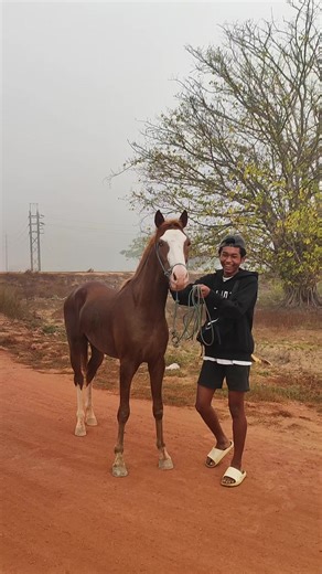 #ဘာညာပေါ့ကွာ😅